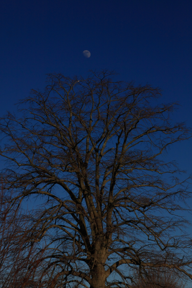 2012 02 03 6141